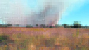 Betrokkenheid kan skade blus