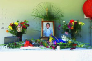 Pit bull owners plan march after second child’s death