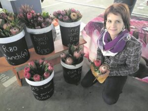 Gesondheid hier die fokus