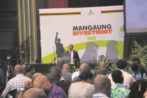 Summit calls for investors