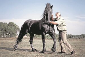 Foto’s gee blik op vryheid