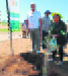 Green thumb cultivated