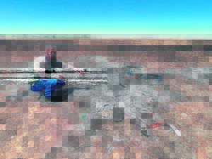 Veldwagter vir daad bedank nadat vliegtuig neerstort