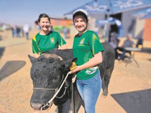 Kuier ’n bul uit ’n bos op landboudag