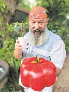 Tamaaie tamatie gesoek