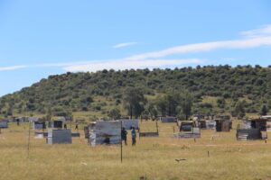 Lourierpark land grab: More people arrested