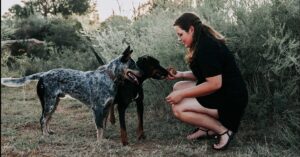 Afstandstudie rig jonges se ywer