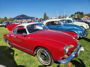 Motor-geesdrif in alle vorme op pad na vanjaar se Cars in the Park in Bloem