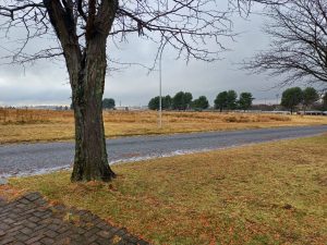 Weather predictions for most of the Free State