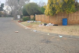 AfriForum help om vullis in strate in Langenhovenpark op te ruim