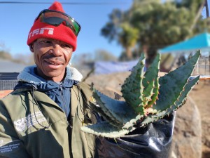 Westdene Park’s open air open to all members