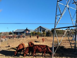 Bure bekommerd oor boerdery in Rayton