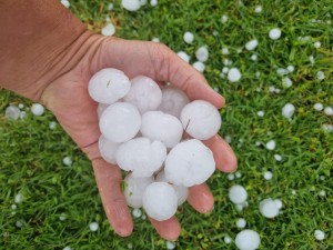 Groot haelkorrels tref buite Bloemfontein