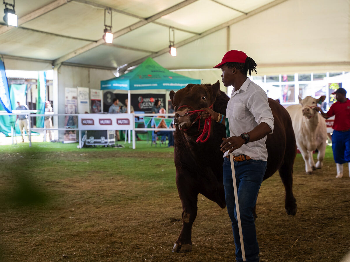 Landbou in ‘n wurggreep oor bek-en-klouseer