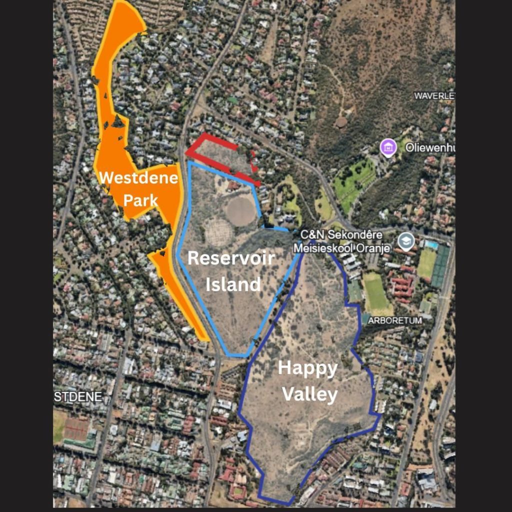 The established Westedene Park Conservany with Reservoir Island and Happy Valley showed in sattelite image. PHOTO: Supplied