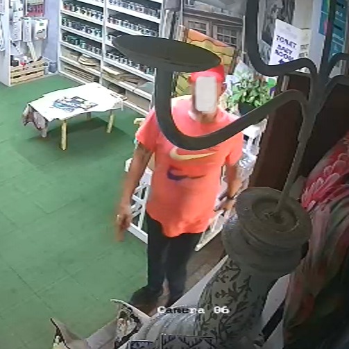 Verdagtes in kringtelevisie-videos van Greenside-kwekery.