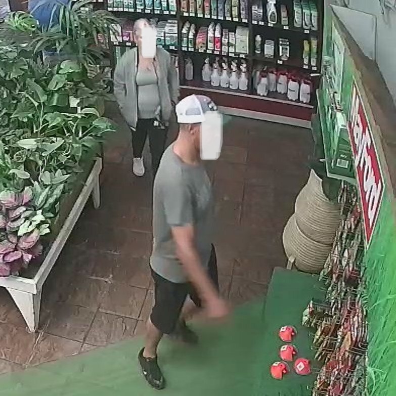 Verdagtes in kringtelevisie-videos van Greenside-kwekery.