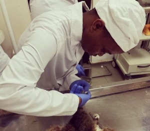 FS vet graduates from Russia in ongoing battle to work in SA