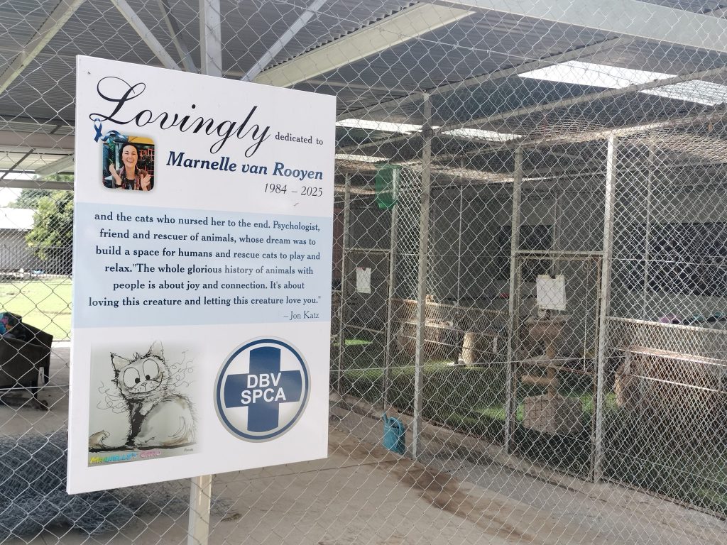 The new catio before completion at the Bloemfontein SPCA. PHOTO: Lientjie Mentz