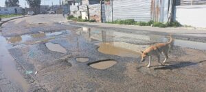 Potholes, drain bursts and raw sewage: The sorry state of Samora Machel’s roads
