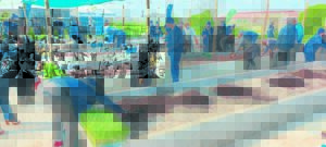 RAF ploughs back into Khayelitsha