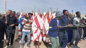 Bangaphaya kwamashumi ama50 ooxholovane abangenileyo ngale ntseni