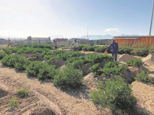Elderly feed the children, needy
