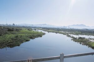 Corpse floating in Covid river