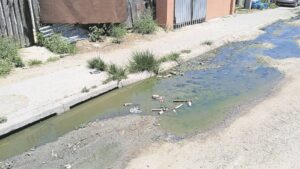 Potholes & sewage overrun Samora Machel: Locals call for action