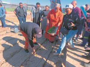 De Lille plants seeds for Madiba