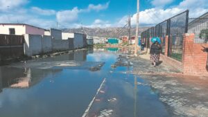 ‘We can’t breathe’: Residents in Nomzamo, Cape Town can no longer stomach stench from stagnant sewage