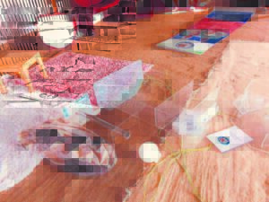 Vandals destroy training centre