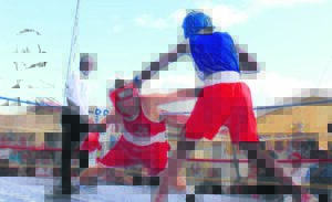 Guns down! Guards up! Let’s box!