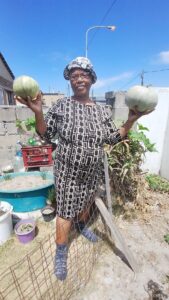 Brown’s Farm gogo (83) finds joy and income in backyard gardening