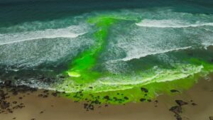 Guard against becoming a rip current casualty