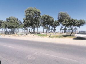 Rage over cemeteries