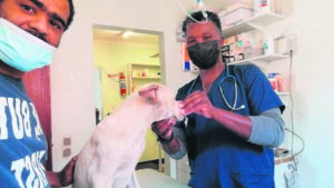 Clinic needs #SteriSuppawters