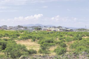 Zithi kuhamba kakuhle iingcibi