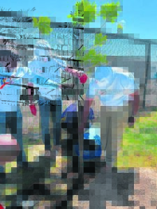 Local waste management companys plant trees all over Khayelitsha to mark its 10th anniversary