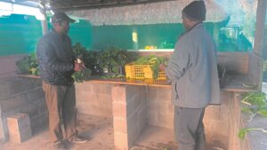 Young Khayelitsha farmers encourage healthy food and a healthy lifestyle