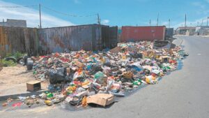 Illegal dumping severely impacts income of meat vendors in Mfuleni