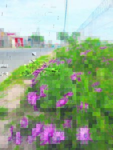 Cleaning initiatives win honours