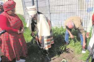 Langa Agrihub launches marketplace for young farmers to showcase fresh produce