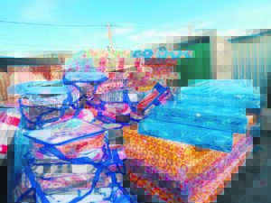 WATCH | Taiwan informal settlement fire victims receive crucial donations after devastating blaze