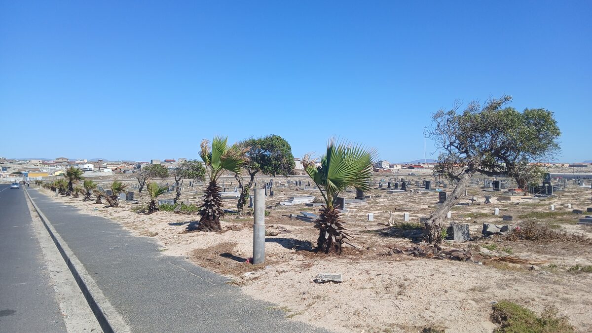 Stealing from the dead: Khayelitsha Cemetery’s plight
