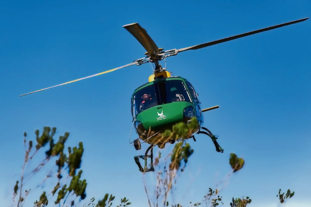 To boost safety in and around the Table Mountain National Park (TMNP), the South African National Parks (SANParks) deployed one of its helicopters, which led to the arrest of a suspected criminal.