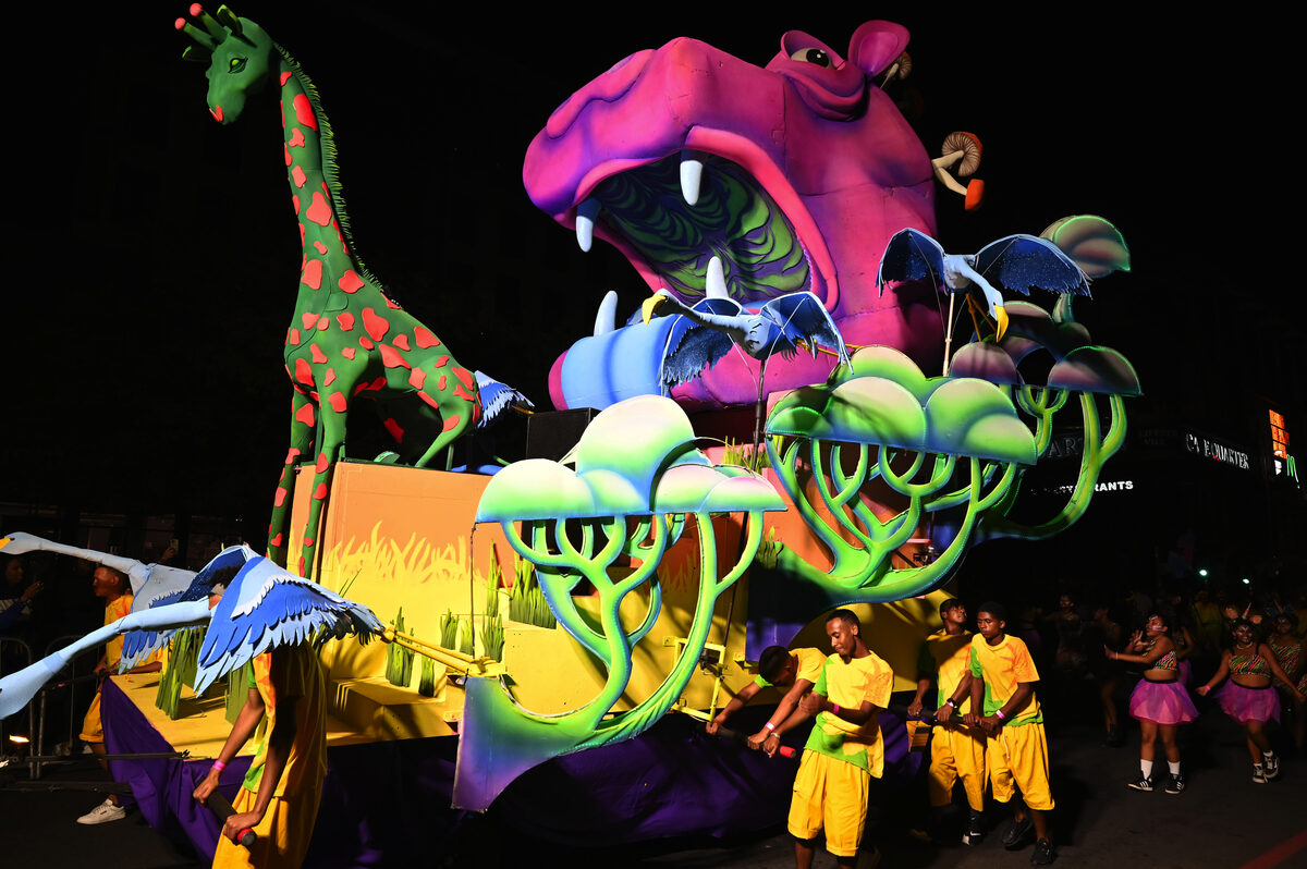 Cape Town Carnival photo