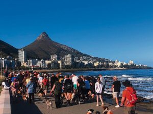 Sea Point promenade turns into doggy runway for animal clinic charity walk