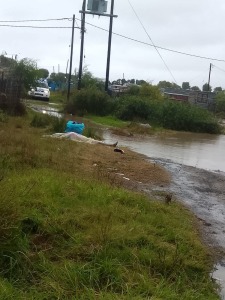 Three men found dead in Green Park informal settlement