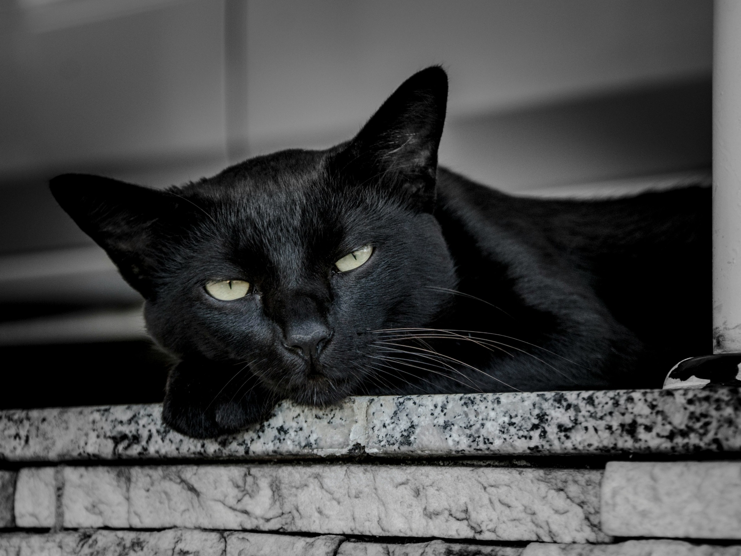 Maak Vrydag die 13de jou angstig? Spieëls, swart katte . . . en waarom mense ‘13’ vrees